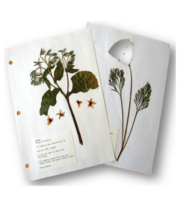 images description